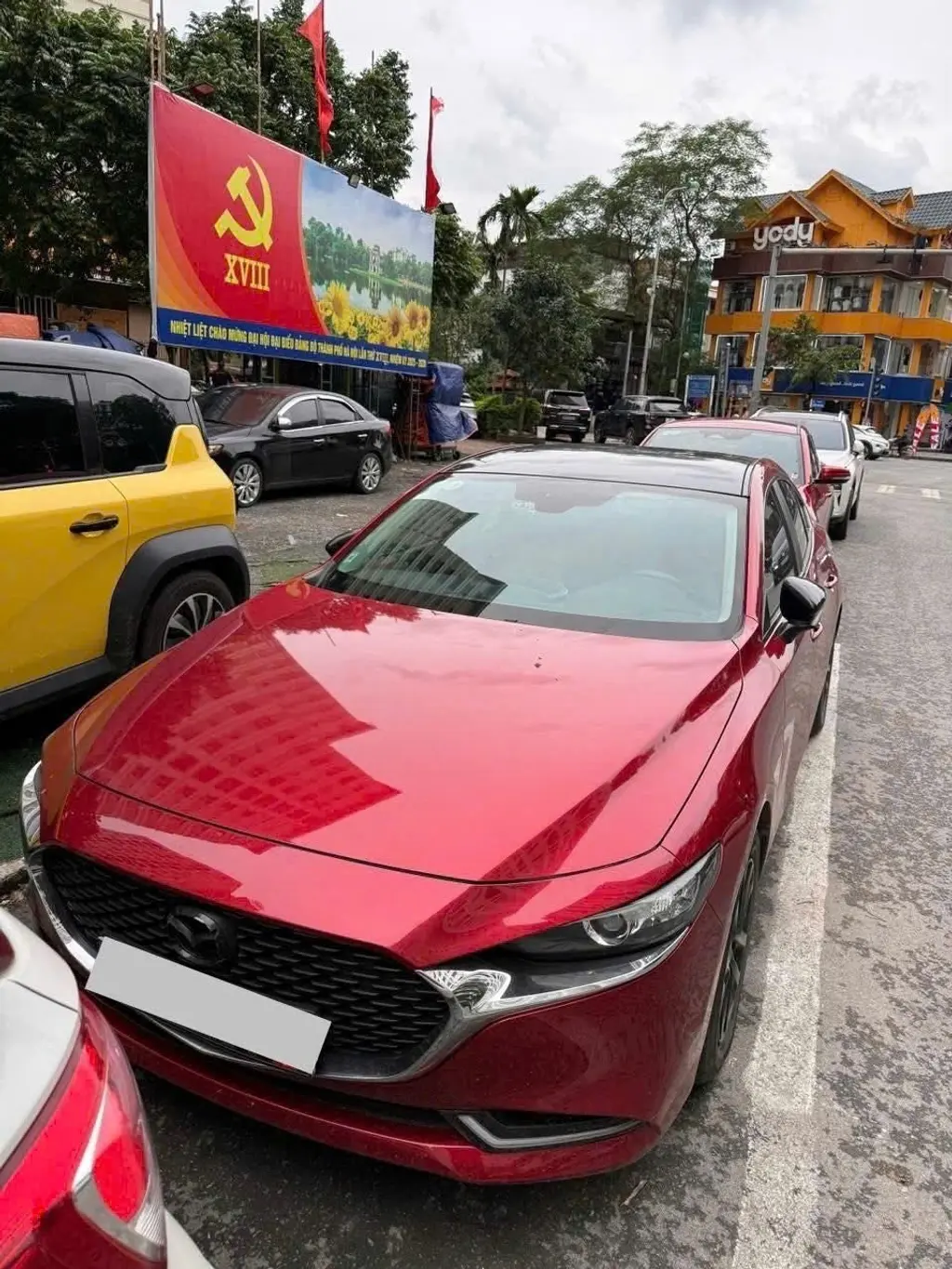 Hình ảnh số 2