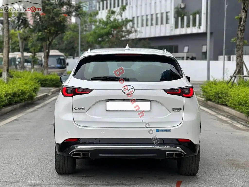 Hình ảnh số 4