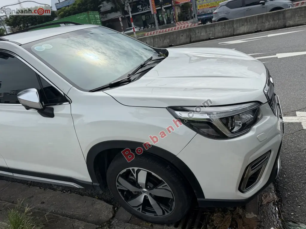 Hình ảnh số 4