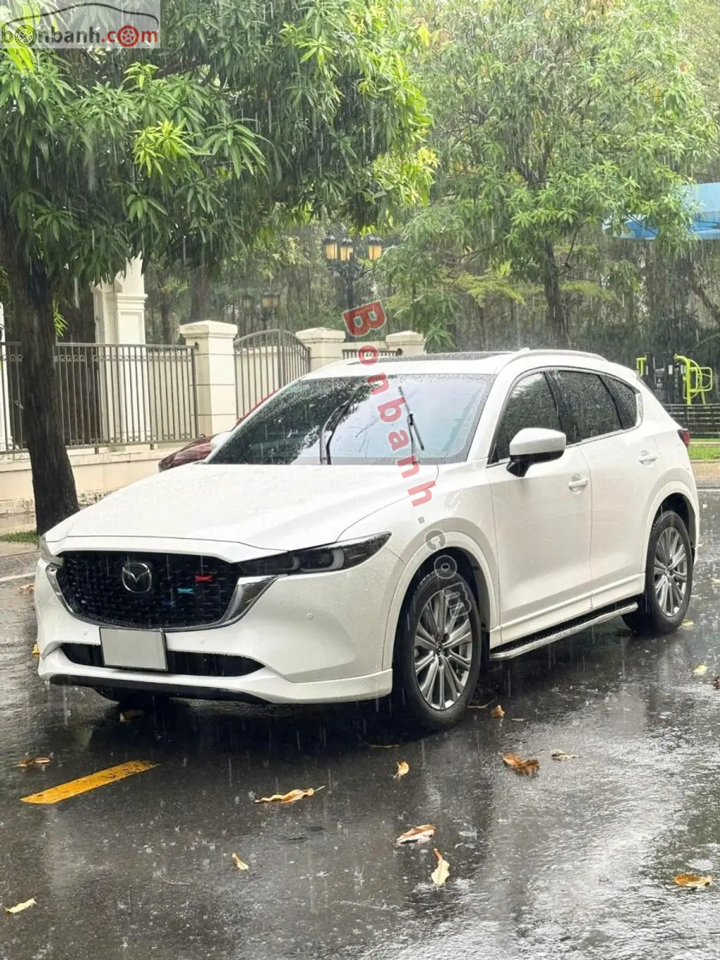 Hình ảnh số 3