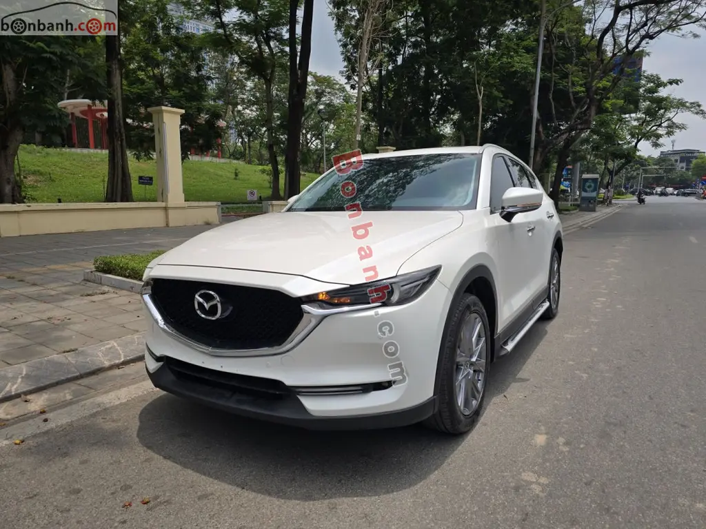 Hình ảnh số 2
